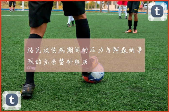 格瓦谈伤病期间的压力与阿森纳争冠的无奈替补经历